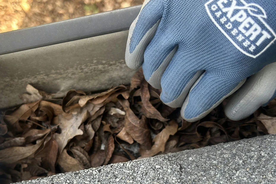 Gutter Cleaning Guntersville